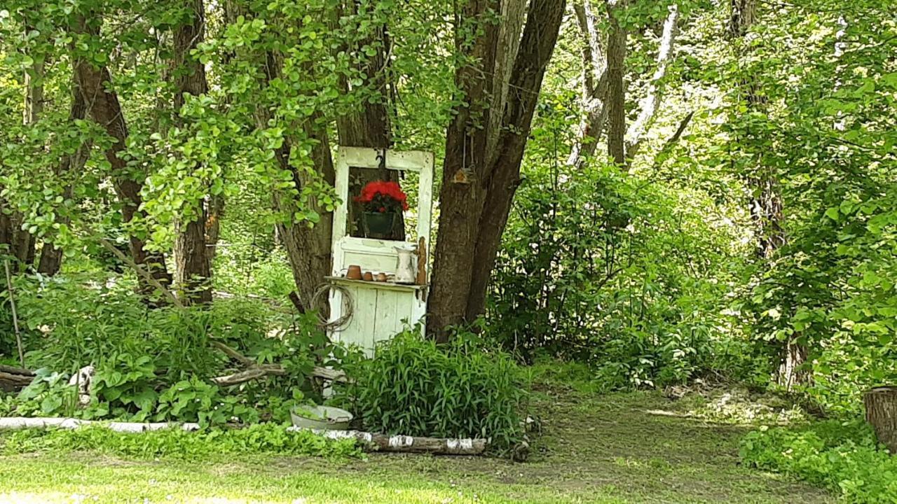 Le Clos Du Buisson Saint-Julien-de-la-Liegue 外观 照片
